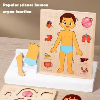 Yousheng Body Parts Puzzle Matching Game Обучающая головоломка по структуре человеческого тела Анатомия Доска для детей Малыши Деревянная обучающая игрушка STEM Boy
