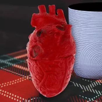 Yousheng Horror Fake Heart Simulation Поддельное человеческое сердце Модель Реалистичная жуткая шутка Реквизит Сердце для украшения на Хэллоуин Дом с привидениями красный