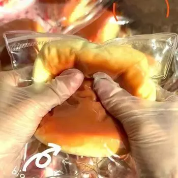 Yousheng игрушка для сдавливания хлеба с медленным отскоком, мягкая TPR, снятие стресса, тревожности, портативная для детей, подростков и взрослых, тосты, сжимающие сенсорную игрушку-фиджет жёлтый