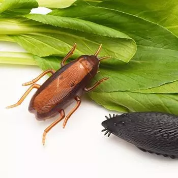 Yousheng Имитация таракана Игрушка Электронная поддельная Высокая Имитация Животного Игрушка Шалость Джокер Веселая Вибрация Портативная Ползающая Игрушка Насекомое