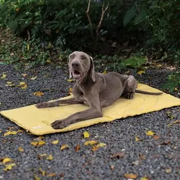 Yousheng Pet Pad Портативная складная кровать для собак Прочный, легко чистящийся водонепроницаемый коврик для сна для домашних животных для путешествий на открытом воздухе