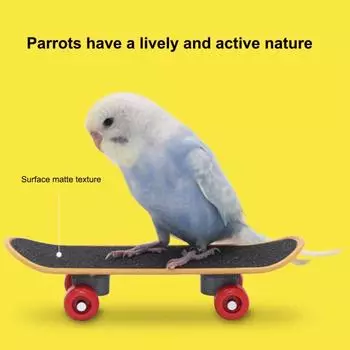 Yousheng попугай-самокат с матовой поверхностью, мини-скейтборд, игрушка-попугай, гибкое колесо, обучающая игрушка для птиц для волнистых попугайчиков, попугаев