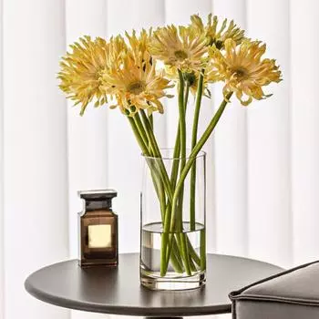 Yousheng Прозрачная цилиндрическая ваза для свадебной вечеринки, обеденного стола, украшение в центре, гидропонный держатель для цветов, прозрачный контейнер, подсвечник Hurricane 20cm