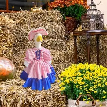 Yousheng забавный костюм гуся на крыльце праздничная одежда для гусей пасхальные наряды для гусей на крыльце одежда украшение для двора газон искусство розовый