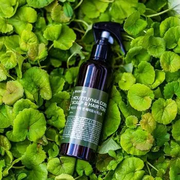 Yuanjae Houttuynia cordata, тоник для кожи головы, спрей, 200 г, сухой увлажняющий крем для кожи головы, 1 шт., 200 мл.