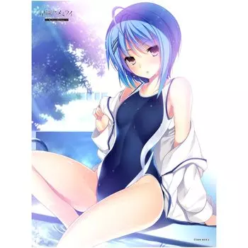 Yume 2024 Extra Large Fluffy Blanket C Hoshiori Mirai