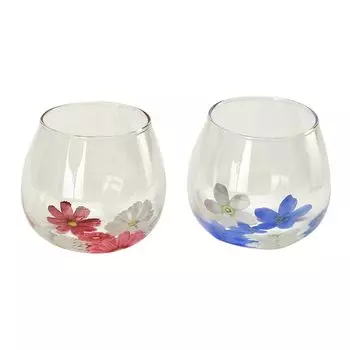 Yurari Yurayura Tumbler Glass 320ml Pair Set FLORA Cosmos Blue Star Gift Made in Japan Approx. & FY-3003A