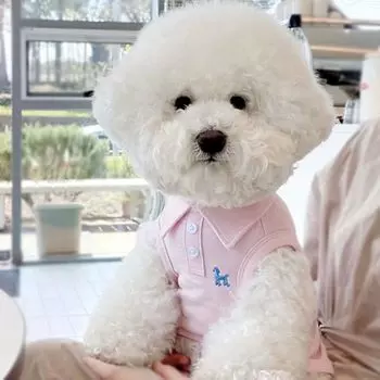 Yuriya Pet Милая Поло Собака Без Рукавов Собака Маленькая Комната Загар XS Одежда, Рубашка, Одежда, Простая, С Воротником, Пуговицы, Вышивка, Дышащая, Эластичная,