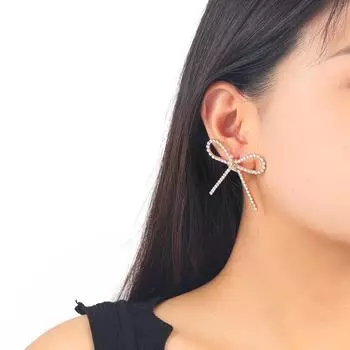 Z Niche Titanium Steel Diamond Inlaid Cross-Border Earrings for Women серебряный