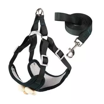 Z Pipi Amoy Petal Chest Strap Pet Traction Rope Cat Puppy Dog Rope Traction Supplies Dog Traction S (3~ 3 kg) rope length 150cm