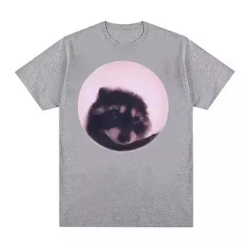 Забавная футболка с изображением енота Педро, мужская и женская повседневная хлопковая футболка большого размера, модная винтажная футболка унисекс высокого качества, уличная одежда S чёрный