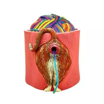 Забавная миска для пряжи в виде кота с отверстием, шар для вязания крючком ручной работы, шар для хранения пряжи B