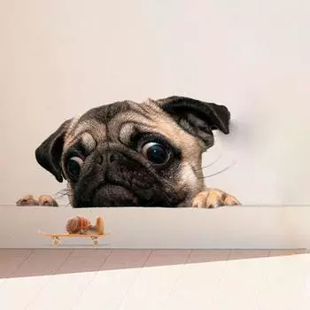 Забавные 3D Мопсы Часы Улитка Наклейка на окно автомобиля Милый питомец Щенок Наклейка на ноутбук