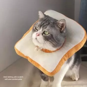 Забавный мягкий чехол на шею для домашних животных, регулируемый воротник на шею для кошек, круг, анти-лизание, защита от укусов кошек, чехол на голову после операции M