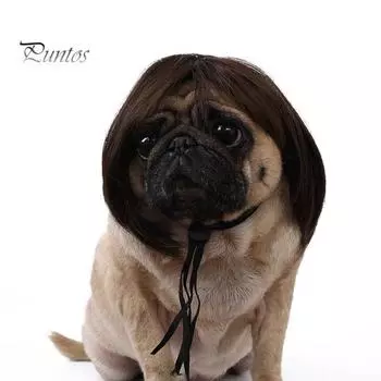 Забавный парик для домашних животных, гладкий глянцевый противоскользящий с резинкой, прямые волосы, кошка, Хэллоуин, рождественская вечеринка, косплей, головной убор, реквизит для фотосессии, парик для собаки и кошки