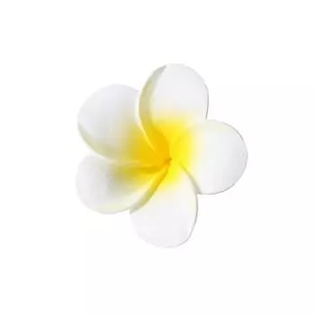 Заколки для волос в виде цветка плюмерии для женщин и девочек, заколки для волос в виде цветка яйца, заколки для волос в виде милой стороны, аксессуары для волос в стиле гавайской вечеринки S-5.5cm