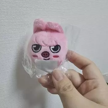 Запечатанный свиной магнит