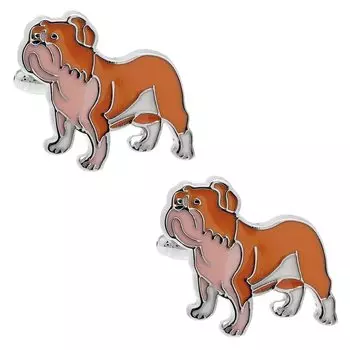 запонки собака бульдог запонки запонки n02754 оранжевый