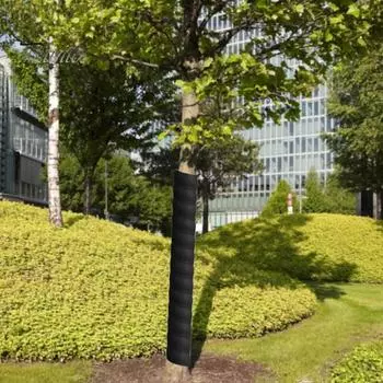 Защитная пленка для ствола дерева Высокопрочная комплексная защита Регулируемая простая установка Спиральная защитная пленка для ствола дерева L зелёный