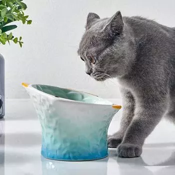 Защитная приподнятая мелкая керамическая приподнятая наклонная поилка для воды кормушка для кошек кормушка для еды розовый