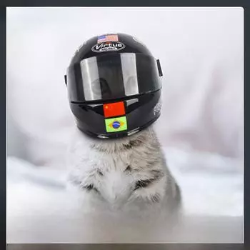 Защитная уличная шапка-шлем для щенков и котят - модный аксессуар для домашних животных One Size, without base зелёный/чёрный