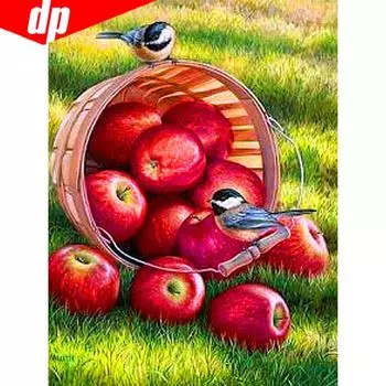 Завод по алмазной живописи, алмазная вышивка, полный дисплей, изображения Apple, стразы 20X30