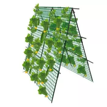 Завод Тип Кронштейн для скалолазания Сад Приусадебные угодья Трельяж для восхождения Растения Опорная рама