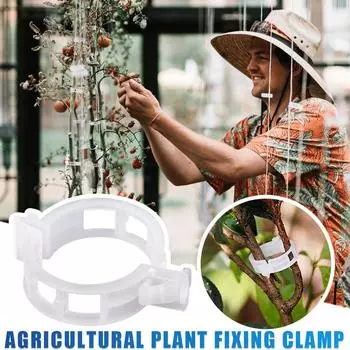 Зажим для искусственных растений, 50 шт., зажим для дыни Hami, пластиковый зажим для привязки виноградной лозы, зажим для виноградной лозы белый