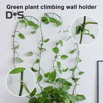 Зажим для крепления растений, настенный зажим для фиксации лозы, самоклеящийся крючок, невидимые зажимы для поддержки растений, вьющиеся растения для помещений и улицы 50pcs зелёный