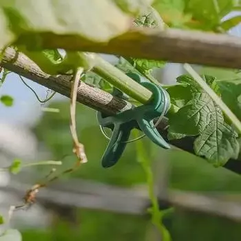Зажимы для фиксации растений Многоразовые садовые кронштейны для теплиц для фиксации растений Виноградная лоза Цветочная рассада Помидоры этикетки для растений 20pcs Big and Small