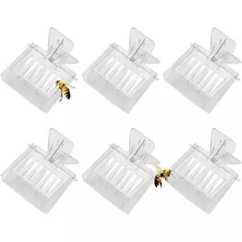 Зажимы для ловли пчелиной матки, прозрачные пластиковые зажимы для пчелиной матки, набор для пчеловодства для начинающих пчеловодов 6 pcs