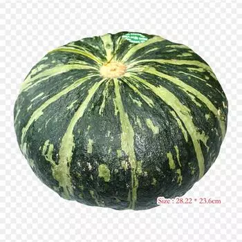 Зеленая тыква, тыква Calabaza, термопереносная печать, виниловые нашивки, наклейки для одежды, аппликации «сделай сам», моющиеся нашивки