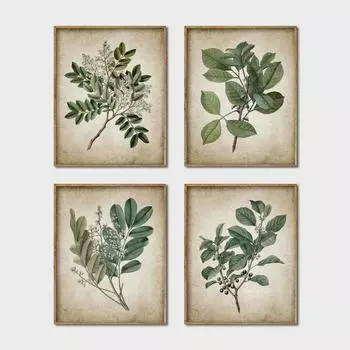 Зеленое растение, настенные художественные принты, ретро постер, винтажные листья, холст, картина, принт, ботанический художественный декор, настенная картина, украшение для дома 21cm30cm No Frame