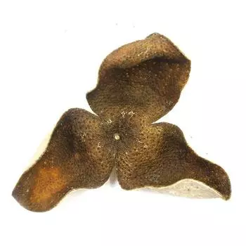 Зеленый чай с китайскими травами XinHui Chen Pi из сушеной кожуры мандарина Pericarpium Reticulatae, чай с апельсиновой коркой, оригинальный экологический 50 г, 2021 г.