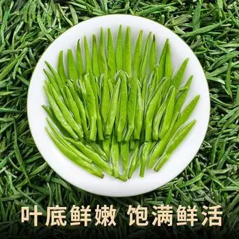 Зеленый чай с павлиньим языком, новинка 2024 года, чай Мин Цянь Премиум, нежные бутоны, весенний чай Meitan Cui Bud, 250 г, бутоны Tribute, целая головка бутона 50g