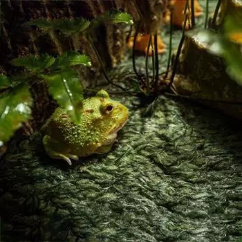 Зеленый ковер для рептилий, имитация искусственной травы, утолщенный микроландшафт, ящик для рептилий, украшение 22x14.5cm