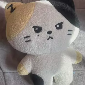 Zerobaseone Ricky Doll Linini Flat Cushion Sell