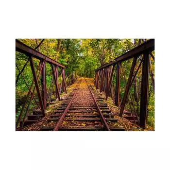 Железнодорожный поезд Путешествие Фоновая ткань Студийный фон для мероприятий, Баннер для вечеринки, Домашний декор, Свадьбы, Фотобудки 5*3ft (150*100cm)