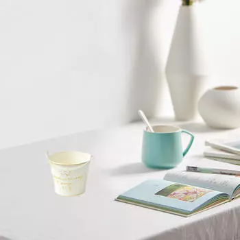 Железное ведро 10x8 см для посадки растений и домашнего использования Crown Pattern