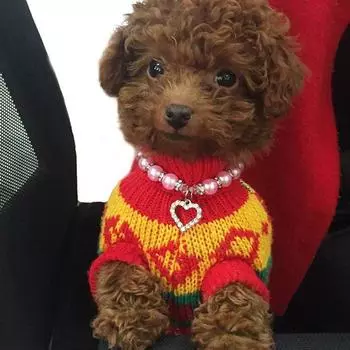 Жемчужное ожерелье в форме сердца, аксессуары для домашних животных, ювелирные изделия для кошек и собак, ошейник для домашних животных, подвески, ожерелья зелёный