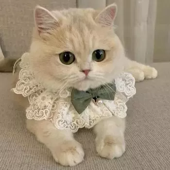 Жемчужный ошейник для собак, украшенный драгоценностями, шелковый свадебный кошачий щенок, лента, шарф, кулон, ожерелье с бантиками для домашних животных, атласные новые аксессуары для котят, галстук-бабочка, подарок L красный