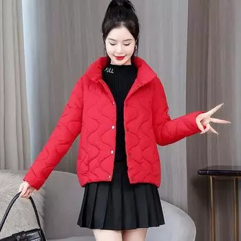 Женская куртка осень-зима больших размеров, легкая, утепленная, однотонная, с воротником-стойкой, свободная, верхняя одежда 2XL