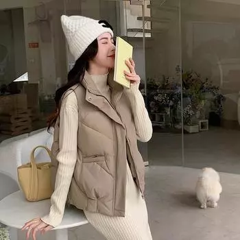 Женская однотонная утепленная верхняя одежда на осень-зиму с хлопковой подкладкой, воротником-стойкой, без рукавов, теплая куртка на молнии с карманами, жилет XXL