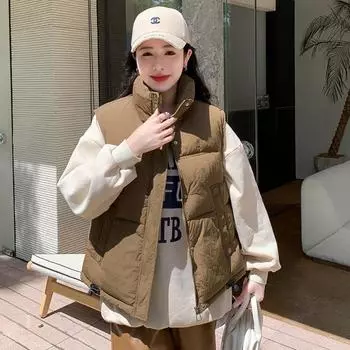 Женская осенне-зимняя однотонная утепленная верхняя одежда с карманами и хлопковой подкладкой, воротником-стойкой, без рукавов, теплая куртка, жилет M коричневый