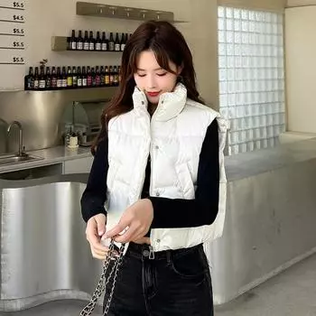 Женская осенне-зимняя однотонная утолщенная верхняя одежда с хлопковой подкладкой и воротником-стойкой, теплая куртка без рукавов, пальто, жилет M серый