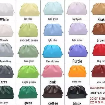 «Женская плиссированная сумка Cloud 2024 года: Модная сумка через плечо и почтальонка в солдатском стиле 22*9*14CM