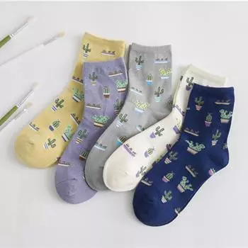 Женские хлопковые однотонные жаккардовые кактусы, свежие простые дикие женские трендовые корейские удобные носки Harajuku белый