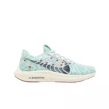 Женские кроссовки Nike Zoom Pegasus Turbo Next Nature Jade Ice Obsidian DM3414-300 W
