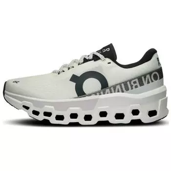 Женские кроссовки On Running CloudmOnster 2 Белый Мороз 37