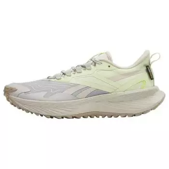 Женские кроссовки Reebok Floatride Energy 5 Adventure Steely Fog Citrus Glow Cream Stucco 100025746 37.5